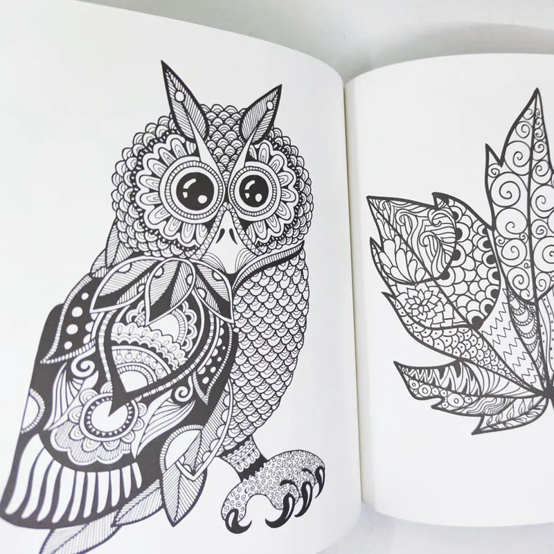 Animal Coloring Book, Coruja, Floresta, Graffiti