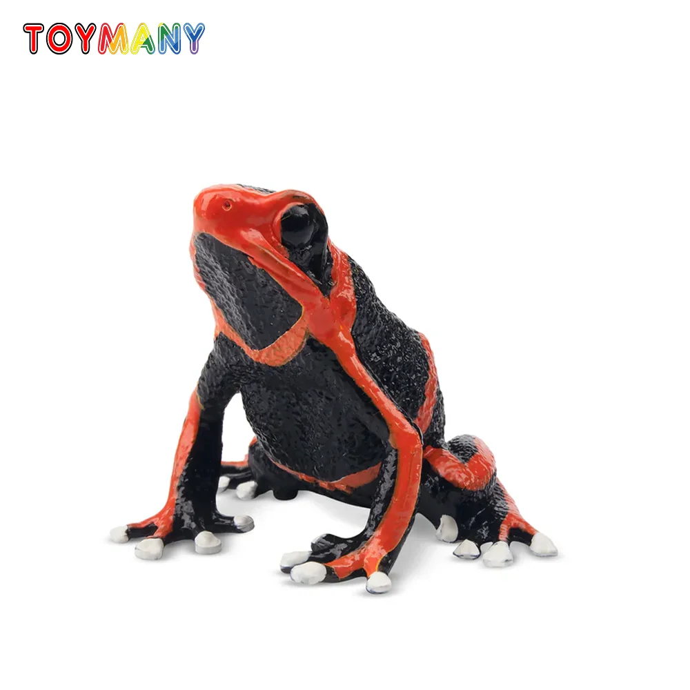 

Toymany Simulation Lehmann's Poison Frog Reptile Realm Animal Model Toy Mini Figures Dolls Action Figurines Toys Children Gift