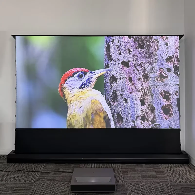 CLR Motorized Floor Rising Projection Screen 110 Inch 16:9 Ambient Light Rejecting ALR for Ultra Short Throw UST Projector 3D 8K