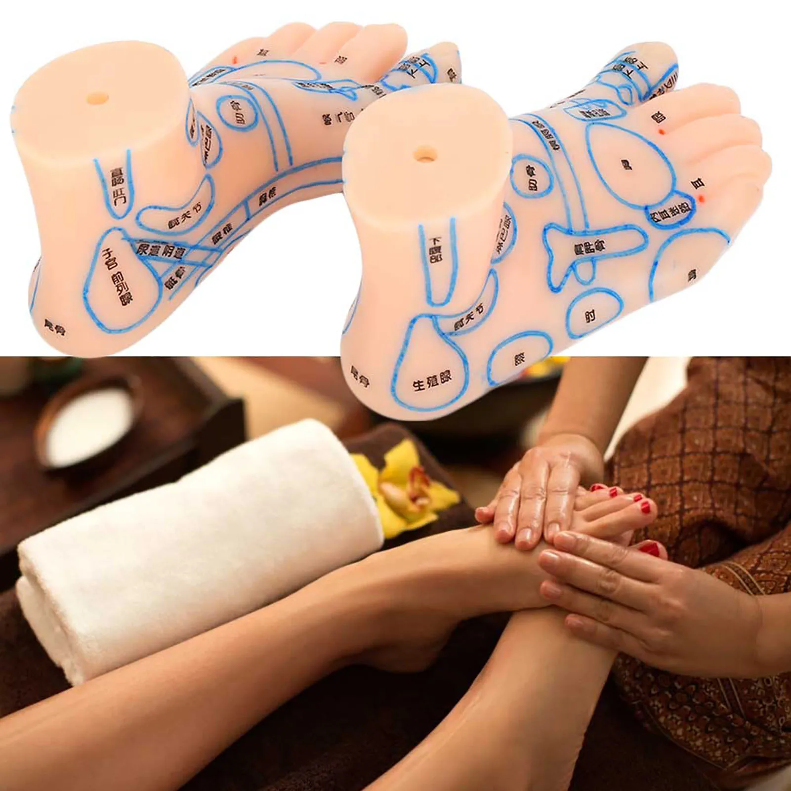 1 pair 15cm Foot reflex zone massage model not acupuncture model Chinese and English code TCM Feet Reflexology