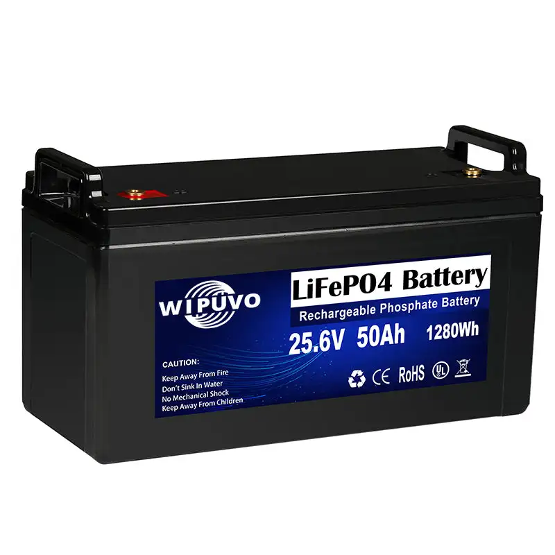 Portable LiFePO4 24V 50Ah 1280Wh With BMS 25.6V LiFePO4 Battery Pack Lithium Battery