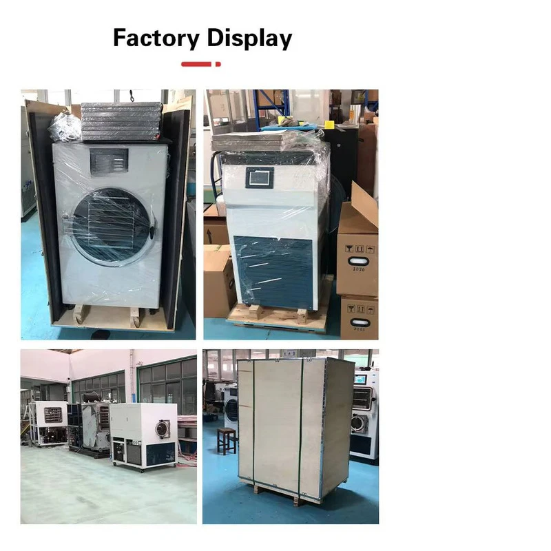 1.0-50kg Whole Strawberry Fruit And Commercial Freeze-dried Candy Freeze Dryer Household Freeze Dryer Source Factory