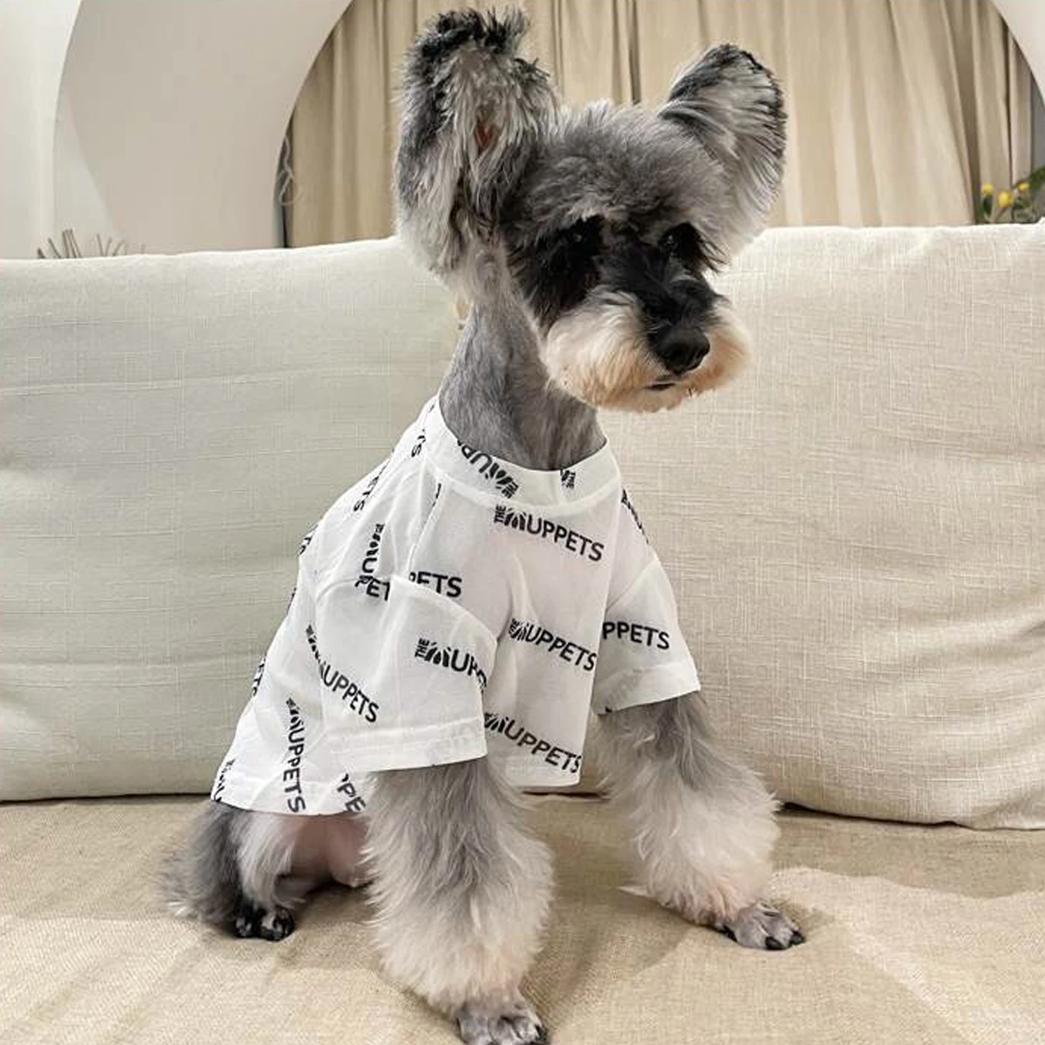 Mesh Pet Dogs Clothes for Small Medium Dogs Summer Schnauzer Teddy Pug Dog Thin Breathable Cool Cats Puppy Clothing Pet T Shirt