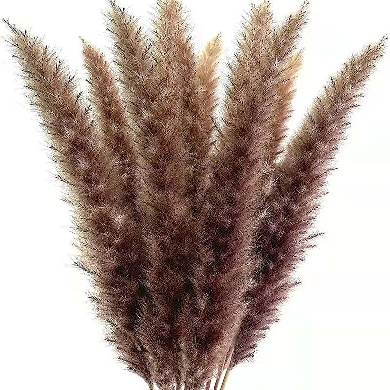 

High Quality Flower for Wedding, office, home decoration 15Pcs /Lot Really Pampas Grass reed flower Primary color, White, Pink,