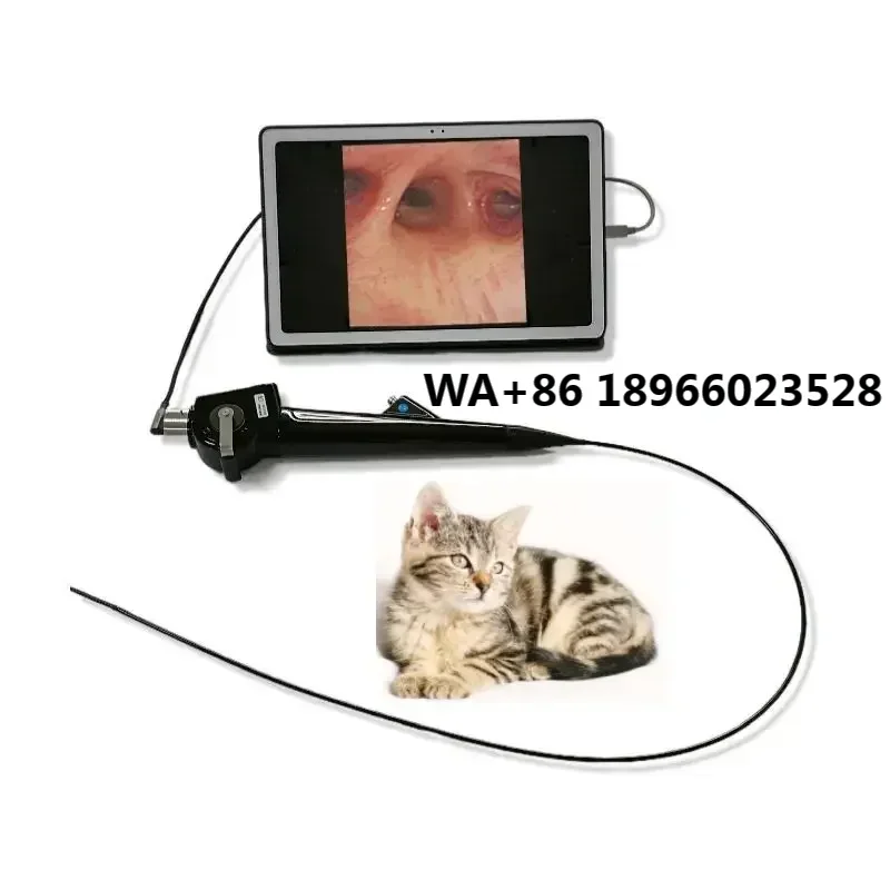 Portable 10.5 inch Screen ENT Veterinary Bronchoscope 3.0mm tube HD VET Endoscope