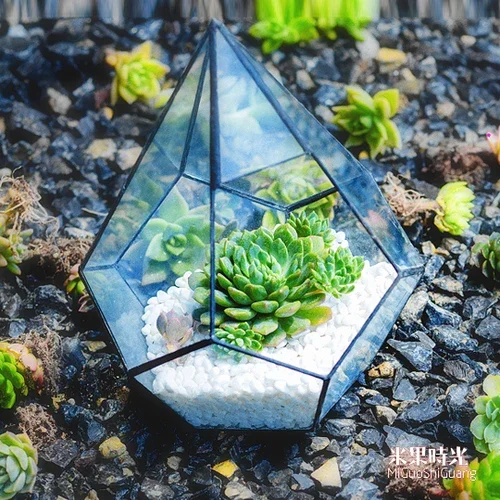 Transparent Glass Vase Succulent Pot Plant Micro Landscape Flowerpots Garden Pots Immortal Flower Box Desktop Display Stand