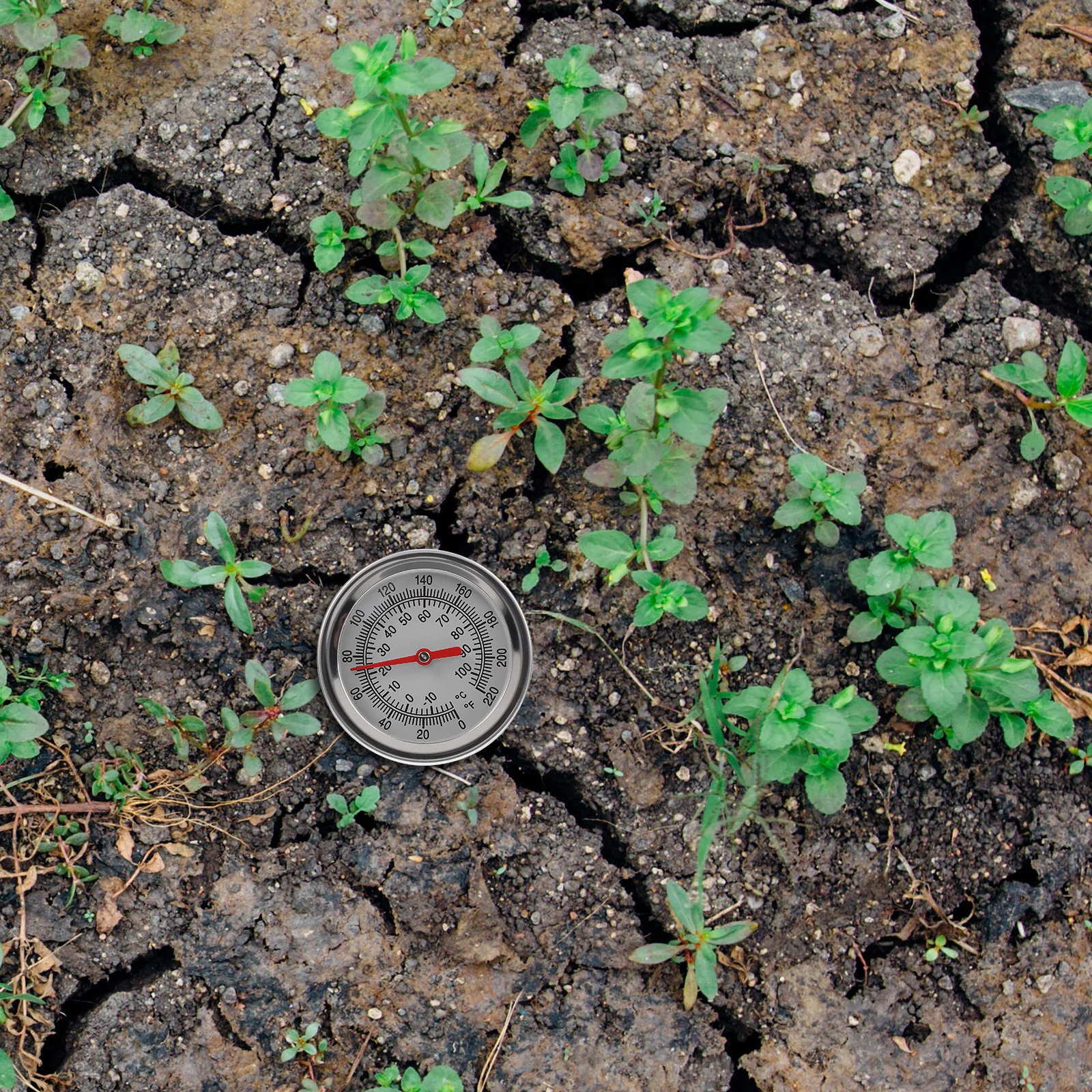 

1Pcs Soil Thermometer Stainless Steel Durable Extra-Long Probe Professional Measuring Tool for Gardening Soil Thermometer