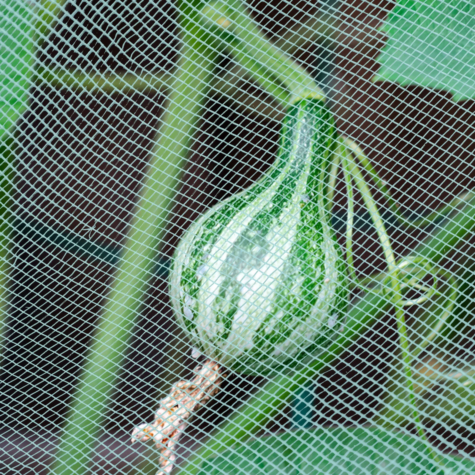 

Insect Net Garden Mesh Netting Kit Hoops for Raised Beds Bird Super Fine Cover Polyethylene