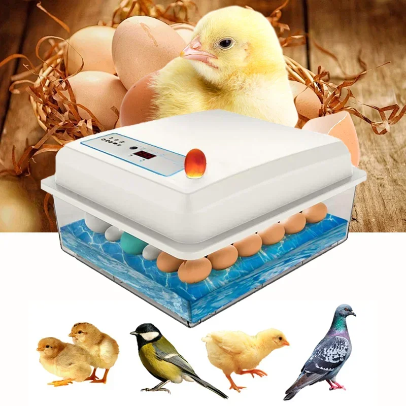 20 Eggs Incubator Set Household Brooder Farm Chicken Goose Duck Bird Egg Incubator Dual Power Supply Independent Egg Beating