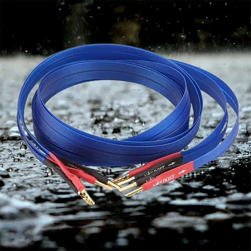 

Premium Silver-Plated OFC Flat Profile HiFi Speaker Wire, Audiophile Amplifier Interconnect for DVD/CD Systems​
