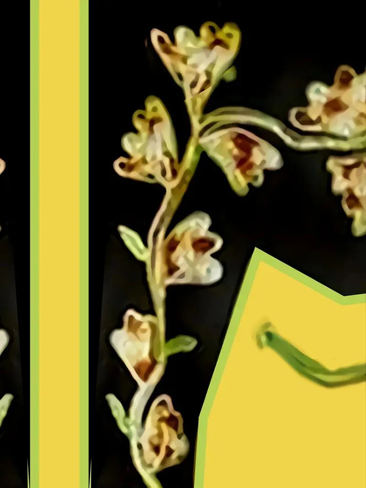 Men Western Cowboy Shirt Long Sleeve Floral Embroidered Button Tops Vintage Loose British Ethnic Shirts Rodeo Dance Party Shirts