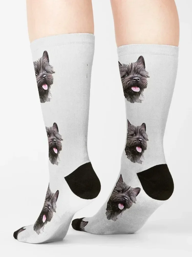 Cairn Terrier Cutie Socks hiphop Antiskid soccer christmas gifts Men's Socks Luxury Women's