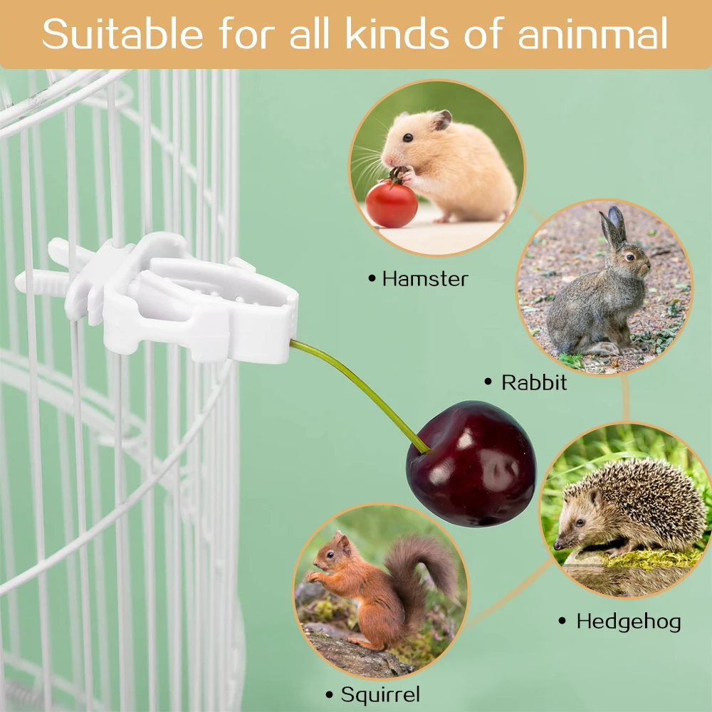 Food Holder para Pet Birds, Papagaio Alimentação, Fruta, Vegtable Clip, Chocos Osso Alimentador Dispositivo, Bird Cage Acessórios, Pin Clamp, 12pcs