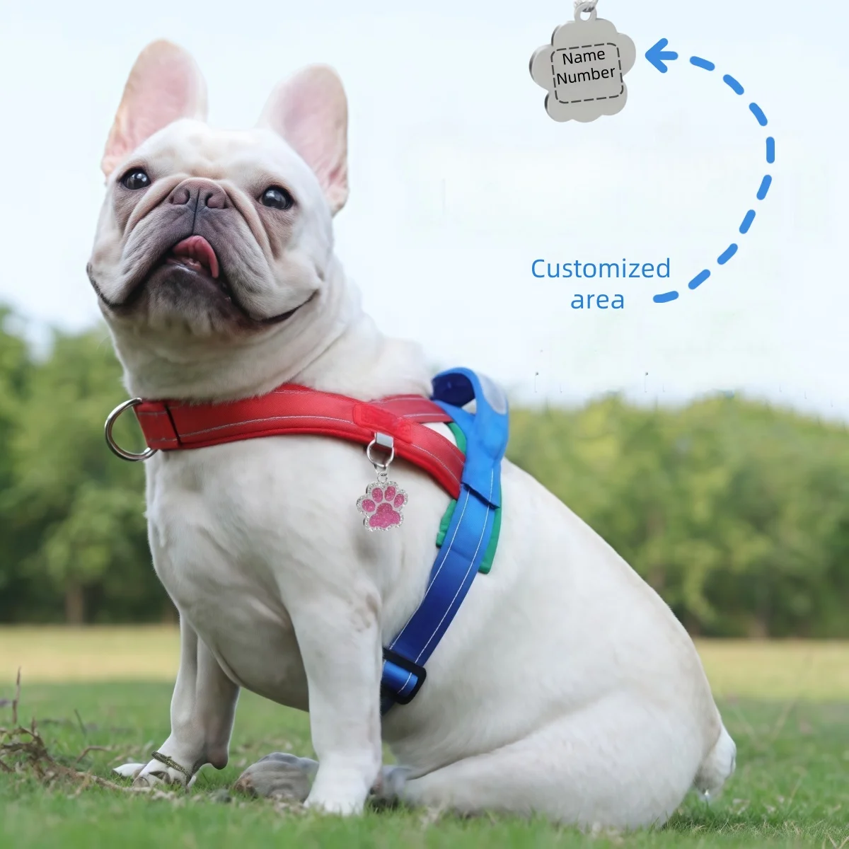 

Pet Chest And Back Contrast Color, Explosion-proof And Comfortable, Puppy Chest Strap, Outing Dog Leash, Customizable Dog Tags