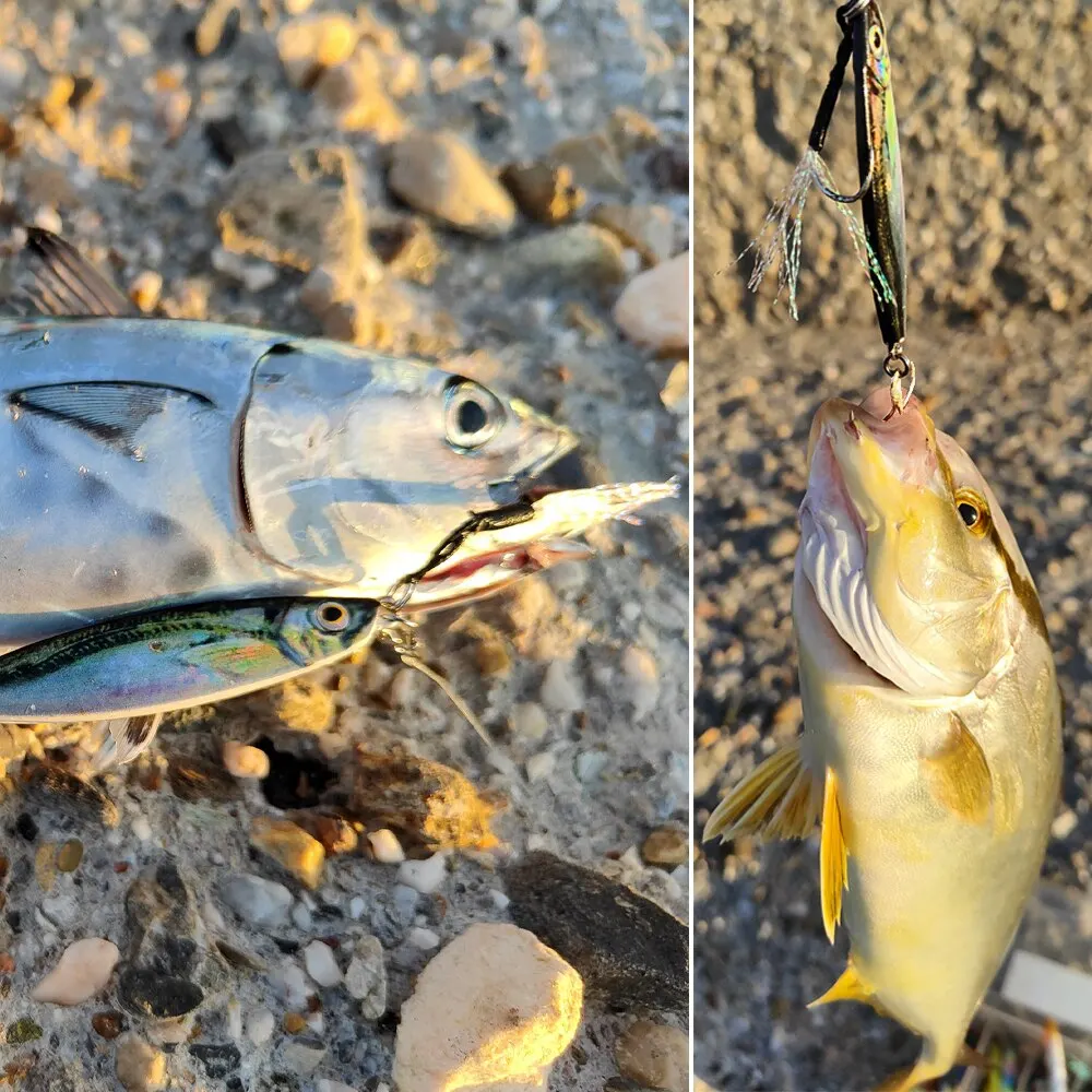 Señuelo Jig Swimbait con cubierta láser para lucio de mar - imagen 5