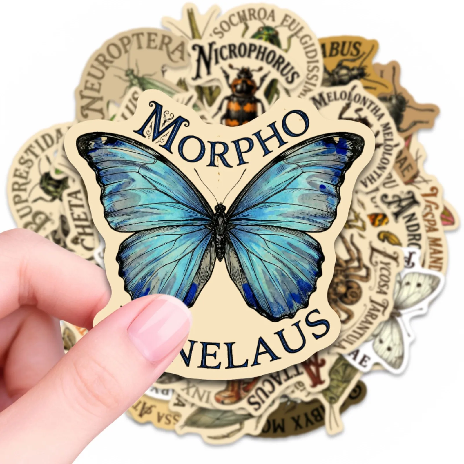 50 Pcs Natural Insect Specimen Stickers Student Learning Decorate Scrapbook Cup Diary Skate Waterproof Fun Decals