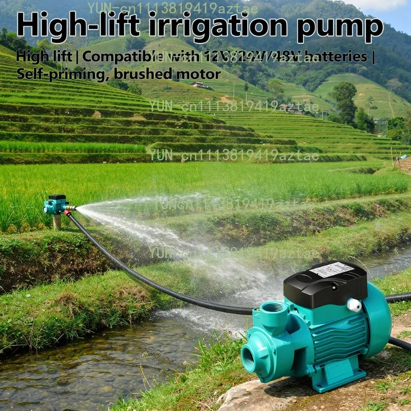 DC 12V 24V 48V Water Pump Brushed Motor Booster Pump QB60 High-lift Large Flow Solar Battery Manual Self-priming
