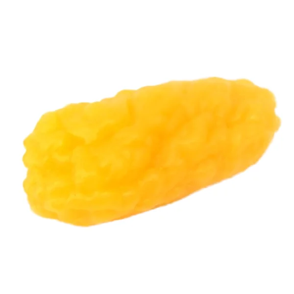 Human Fat Anatomical Model, 1kg Fat Model