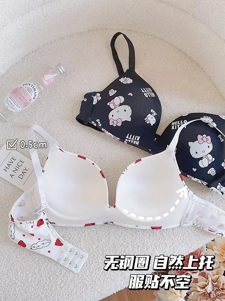 Sanrio Hello Kitty Women Underwear Sexy Bra Panty Set Cartoon No Wire Push Up Underwear Female\'s Breathable Gathered Bra Gifts