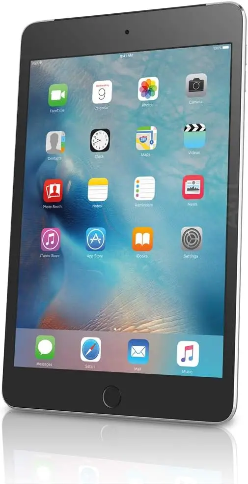 Apple iPad Mini 4th Generation (Wi-Fi, 128GB) Space Gray (Certified Refurbished)