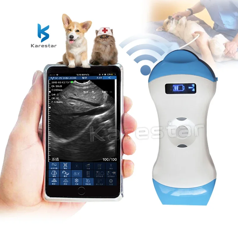 USB/WIFI Probe Vet Ecografo Smart Dual Head Wireless Portable Ultrasound Scanner With 3 In 1 Wire