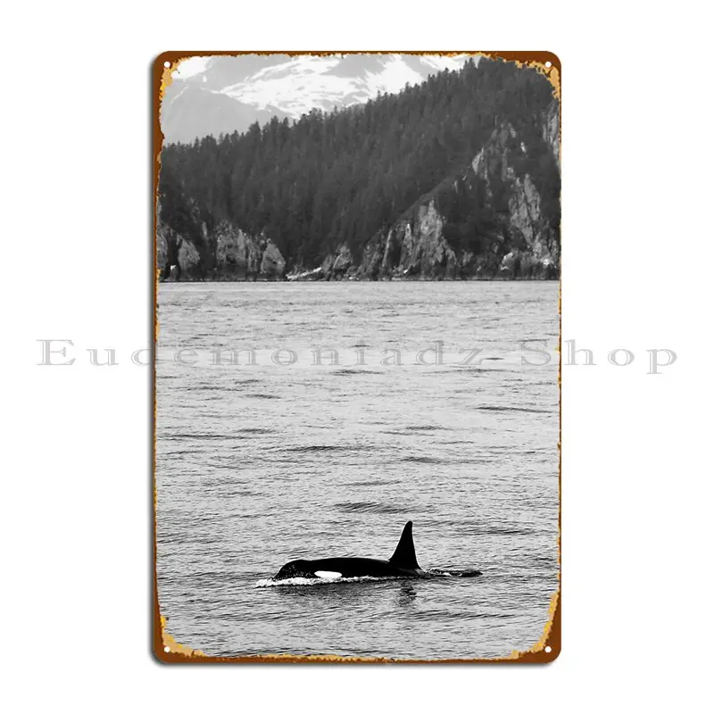 Orca And Snow Capped Mountains At Resurrection Bay In Alaska Metal Sign Vintage Retro Designing Kitchen Tin Sign Poster