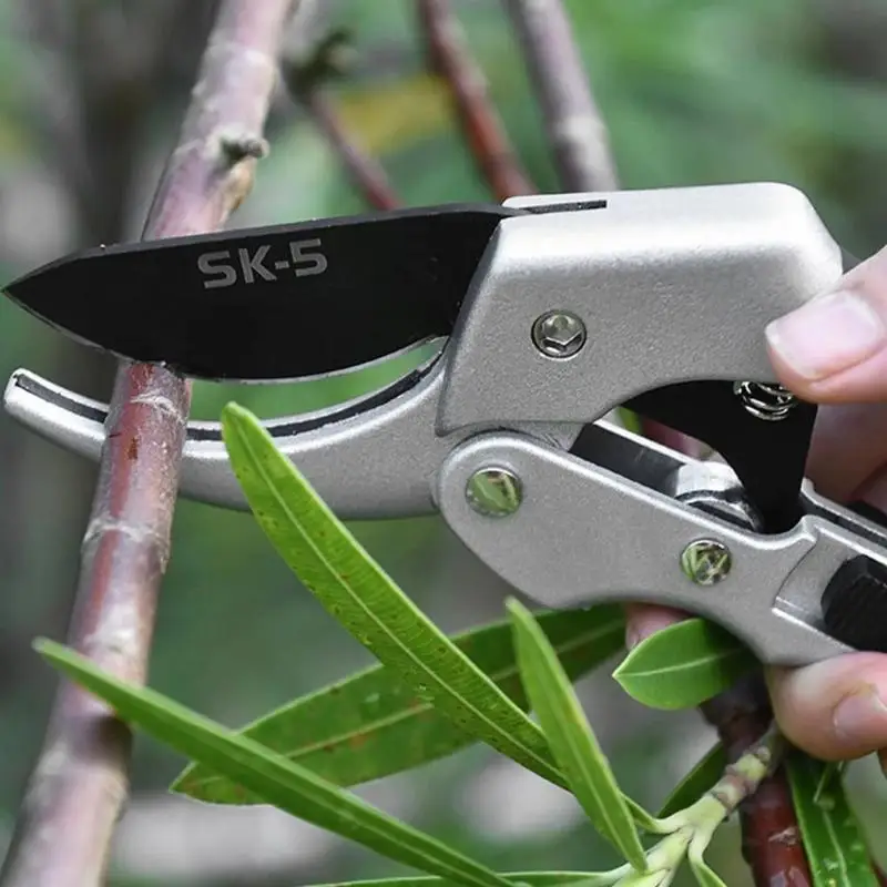 Horticultural Scissors Bird Beak Shape Branch Pruning Labor Saving Pruning Stainless Steel Picking Multifunctional Fruit Scisso