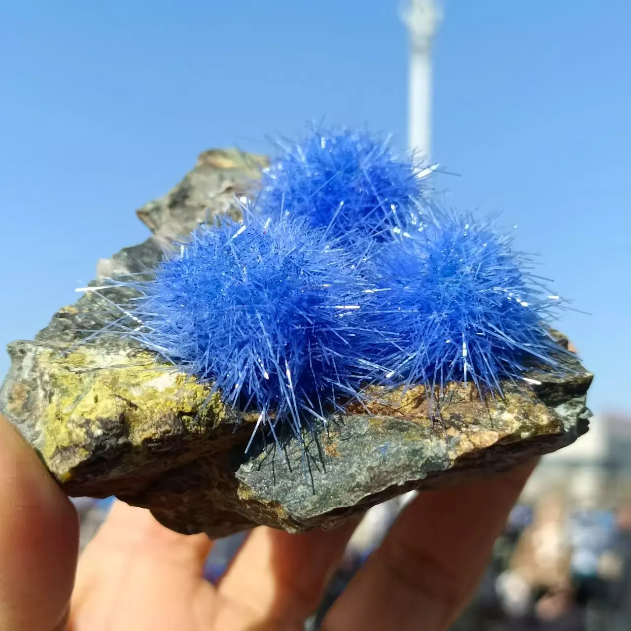 Natural Azurite Symbiotic Blue Hair Needle Crystal Cluster, Quartz Crystal Energy Ore, Mineral Reiki Treatment, Degaussing Decor