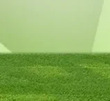 

Регардные разницы в цене продукта/ссылки для оплаты для удаленных районов