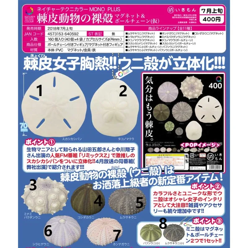 IKIMON Gashapon Marine Organism Magnet Gacahpon NTC Illustrations Echinodermata Nudibranch Pendants Sea Urchin Capsule Toy