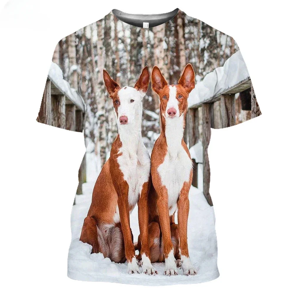 Ibizan Hound Dogs Hunting 3D T Shirt Men\'s Women\'s Teenage 6Xl  Podenco Ibecenco Dog Summer Short Sleeve Harajuku Top