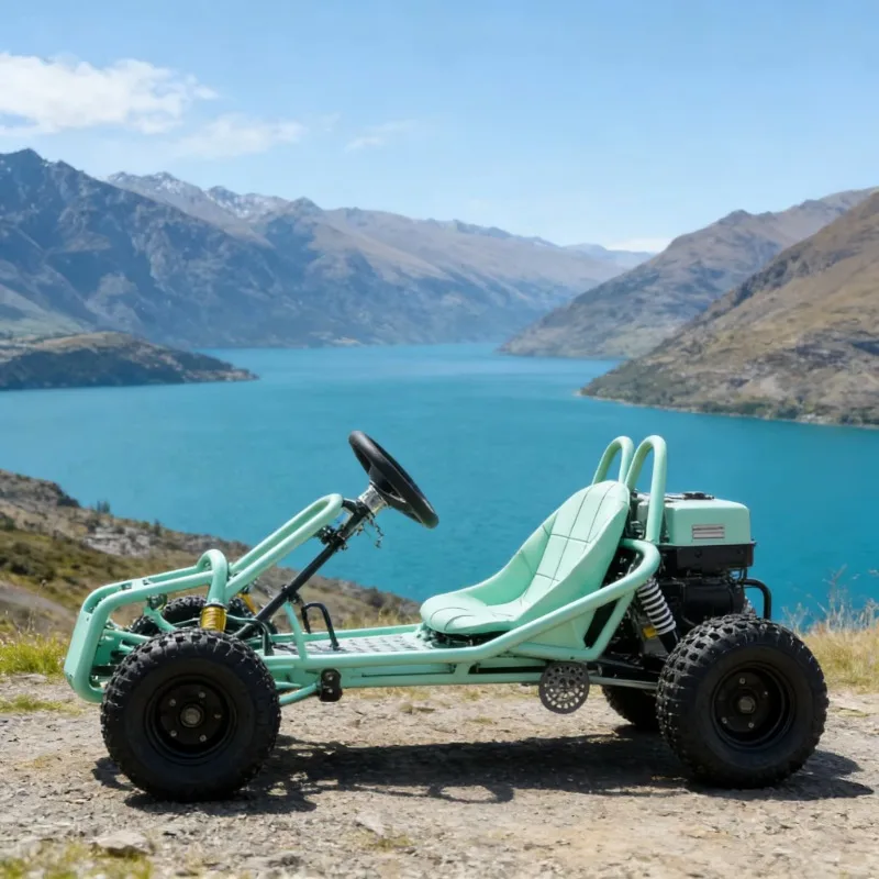 Customizable Off-road Go-Kart Gokart for Off-road Racing High-Performance Petrol Engine Professional Racing Gokart