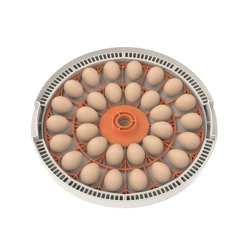 

WONEGG Poultry Equipment Full Automatic Function Small Capacity 30 Egg Incubator for Sale