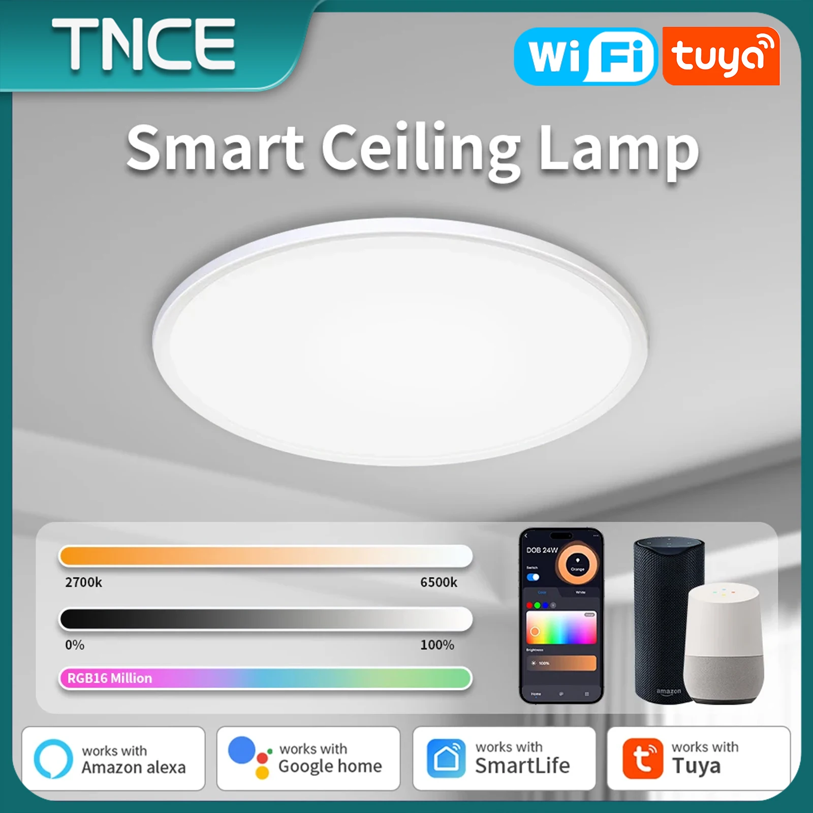 TNCE Tuya Ceiling lamp 12inch 24w WIFI, RGB Dimmable LED Ceiling Light for room, Smart life APP Bulb, voice Alexa Google Home