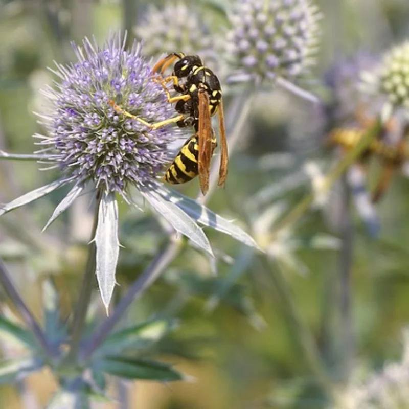 

Для TRXS TRX4 Defender 1/10 RC Гусеничный автомобиль, обновленные детали, пластиковый корпус, колесо, расширители крыльев для бровей, боковая защита 8017