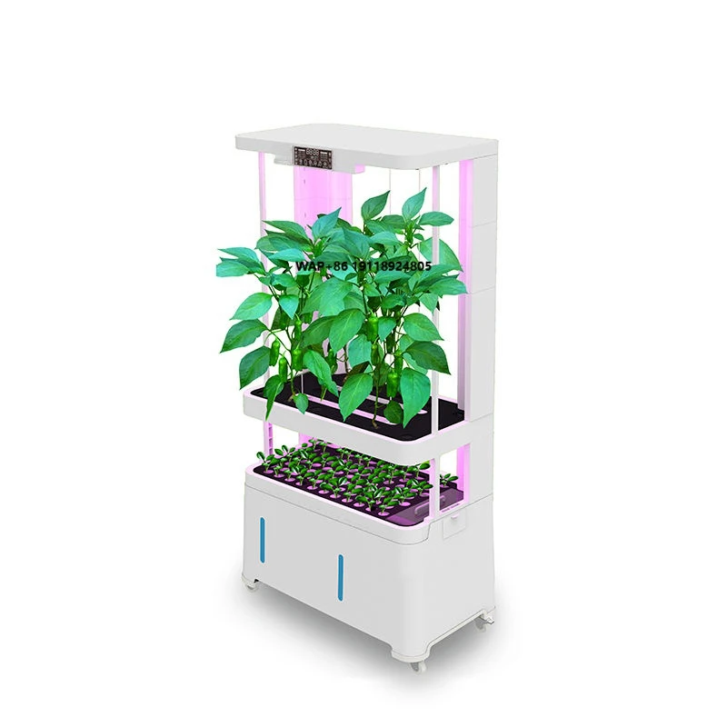 

RR-WE32 Smart Home Automatic Indoor Hydroponic Planting Cabinet High Productivity Irrigation System Hydroponics Equipment