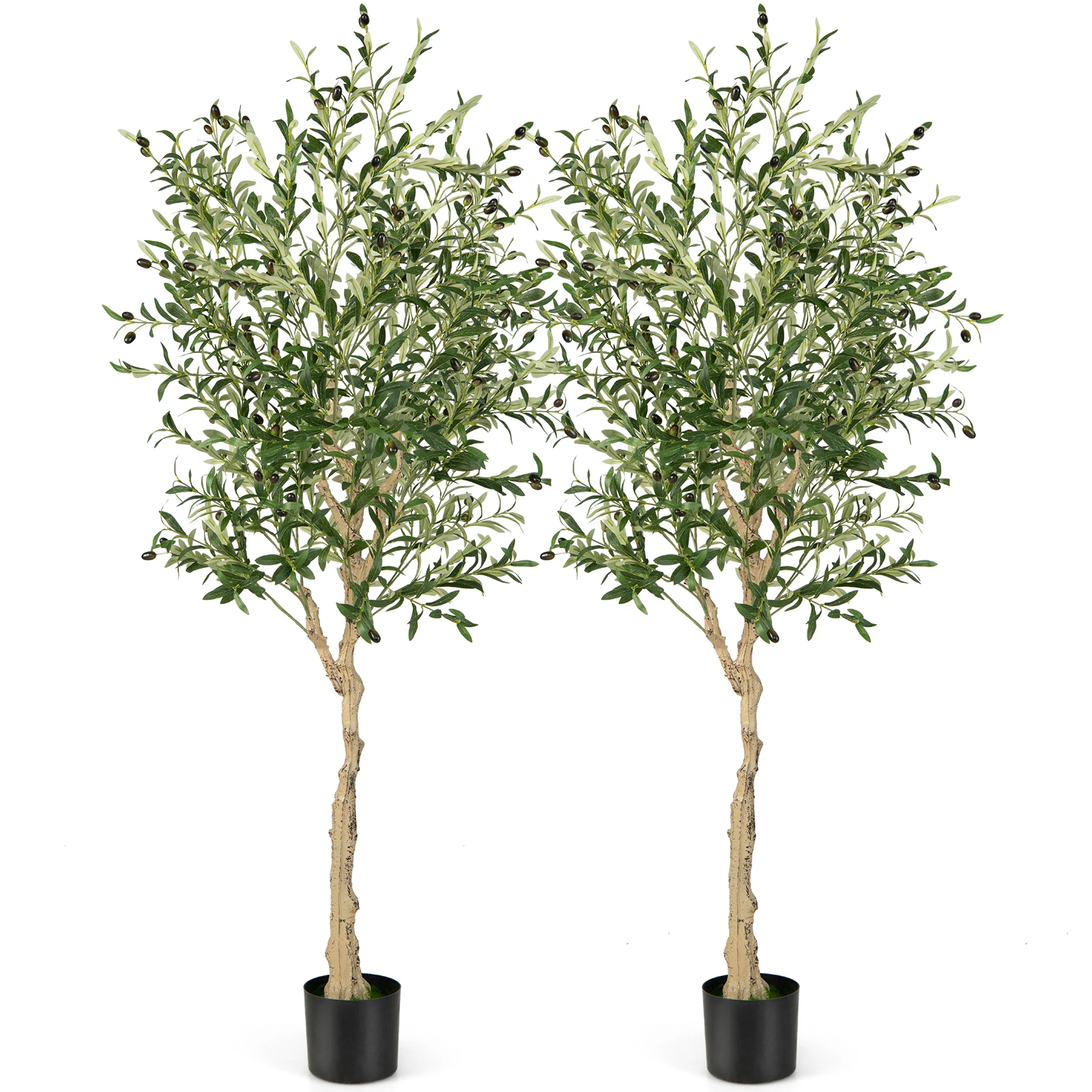 Set of 2 Artificial Olive Tree Art plant 180 cm Room plant with Cement pot & Natural Leaves & 72 Fruits Art Tree