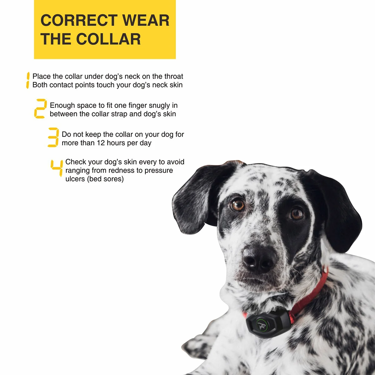 

Dog Training Collar with Remote, Rechargeable Dog Anti Barking Training Collar, IPX7 Waterproof E-Collar for Dogs 10-120lbs