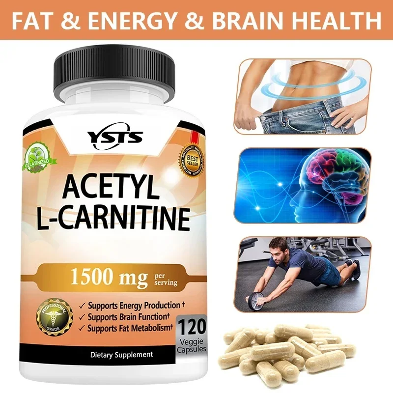 Cápsulas de Acetil L-Carnitina - Favorece la Memoria, la Concentración, el Metabolismo de Grasas, la Energía, el Metabolismo y la Salud Cerebral para Hombres y Mujeres