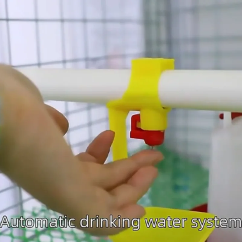 Equipment H-Type Poultry Broiler Cage 3 Floor 4 Floor Battery Chicken Cage Backyard Broiler Chicken Cage Design