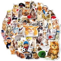 10/30/50pcs Cute Pet Kitten Cat Graffiti Sticker For Luggage Laptop Ipad Skateboard Fridge Car Journal Helmet Sticker Wholesale