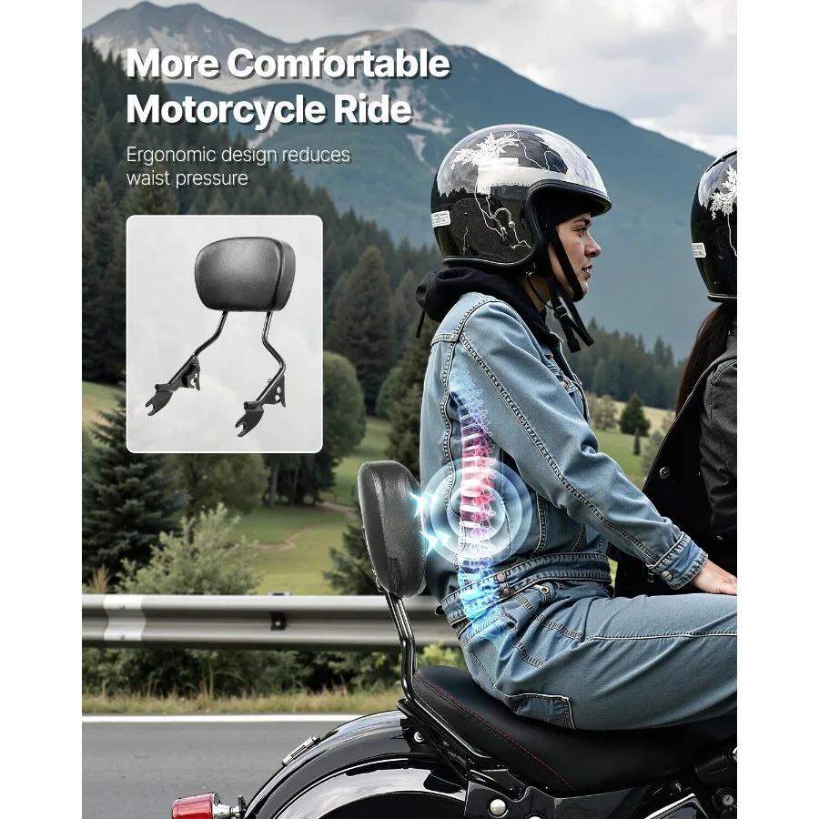 Schienale moto Sissy Bar per modelli HarleyDavidson Touring 20092024 16 pollici