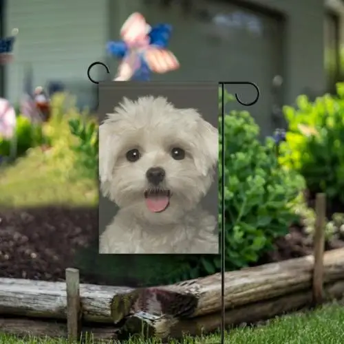 Maltese Puppy Panting Garden Flag Double Sided 12 X 18 Inch, Yard Flags, Decorat