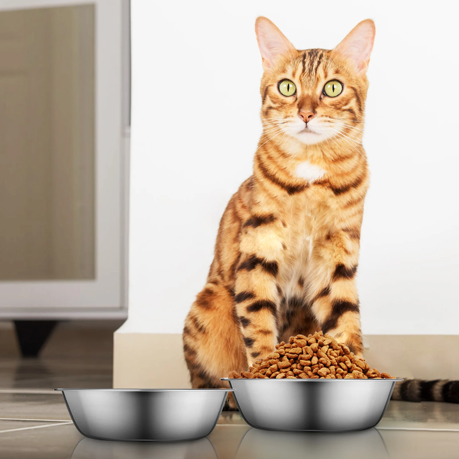 

3pcs Stainless Steel Cat Bowl Large Opening Portable Easy Cleanup Durable Feeding Supplies Pet Water Bowl Silver