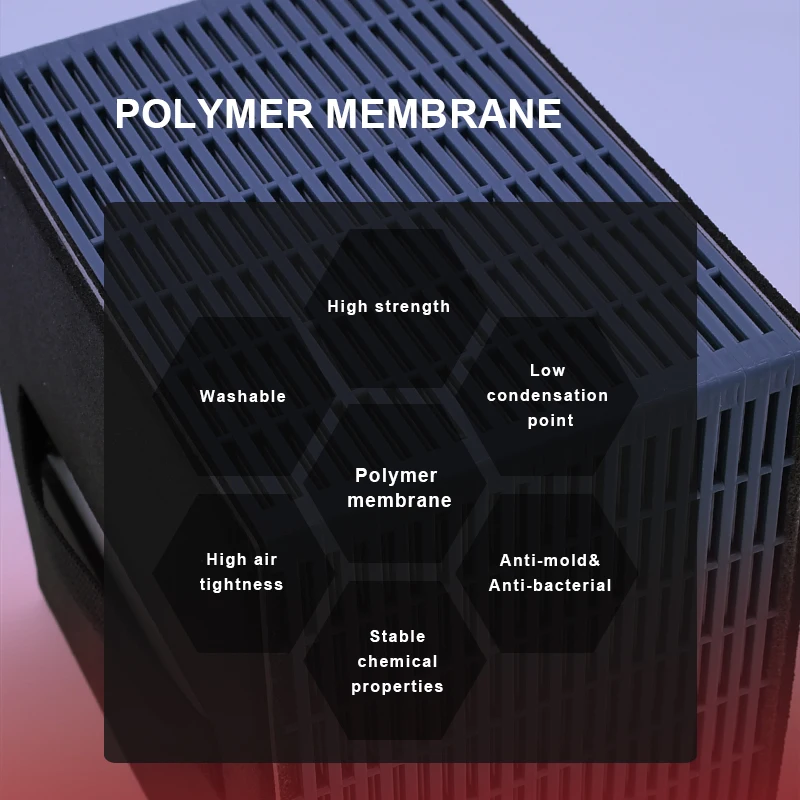 Flusso bidirezionale a parete Fornitura d'aria fresca Trattamento dell'aria Recuperatore d'aria Ventilazione del recupero energetico