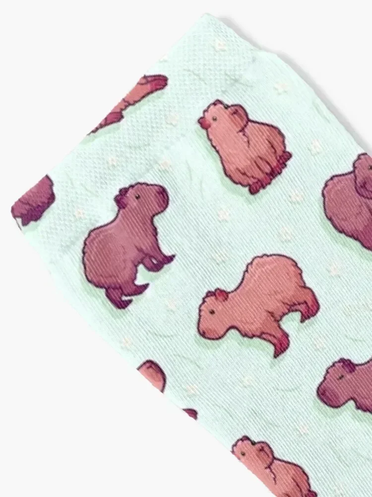 Capybara 2 양말 럭비 세트 스포츠 만화 양말 여성 남성