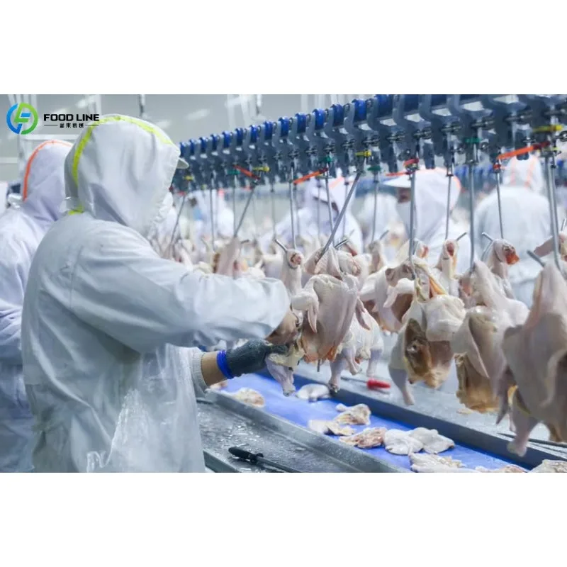 Customized FL New Restaurant Slaughter Equipment Bird Slaughtering Machine with Chicken Feather Remover