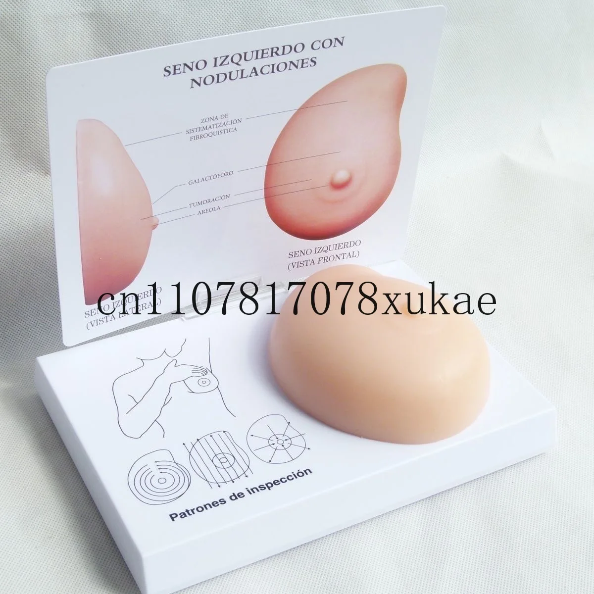 Human Pathological Anatomy Breast Self Exam Model Irregular Masses  Pathological Examination Model