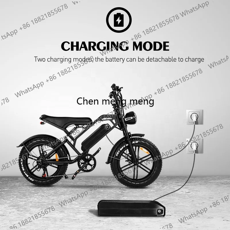 V20 Pro  Factory Ships Popular 750w 500w Adult E-Bike for 2025