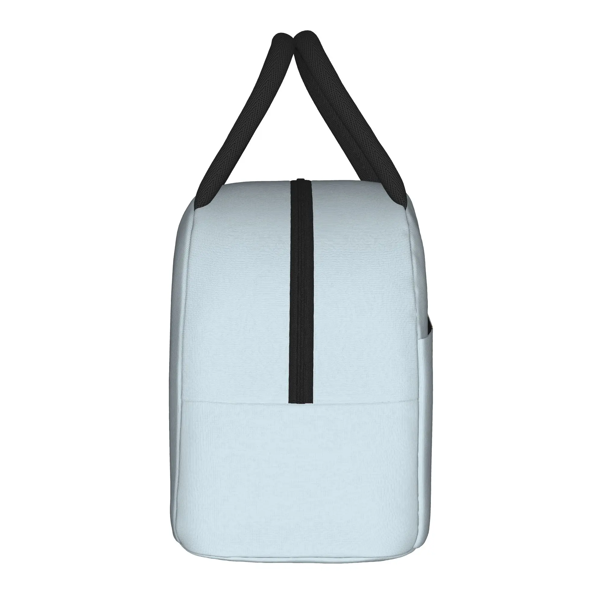 P-Pudgy Penguin Cute  Insulated Lunch Bag Cooler Bag Reusable,Lunch Container  Leakproof Tote Lunch Box Men Women Office  Picnic